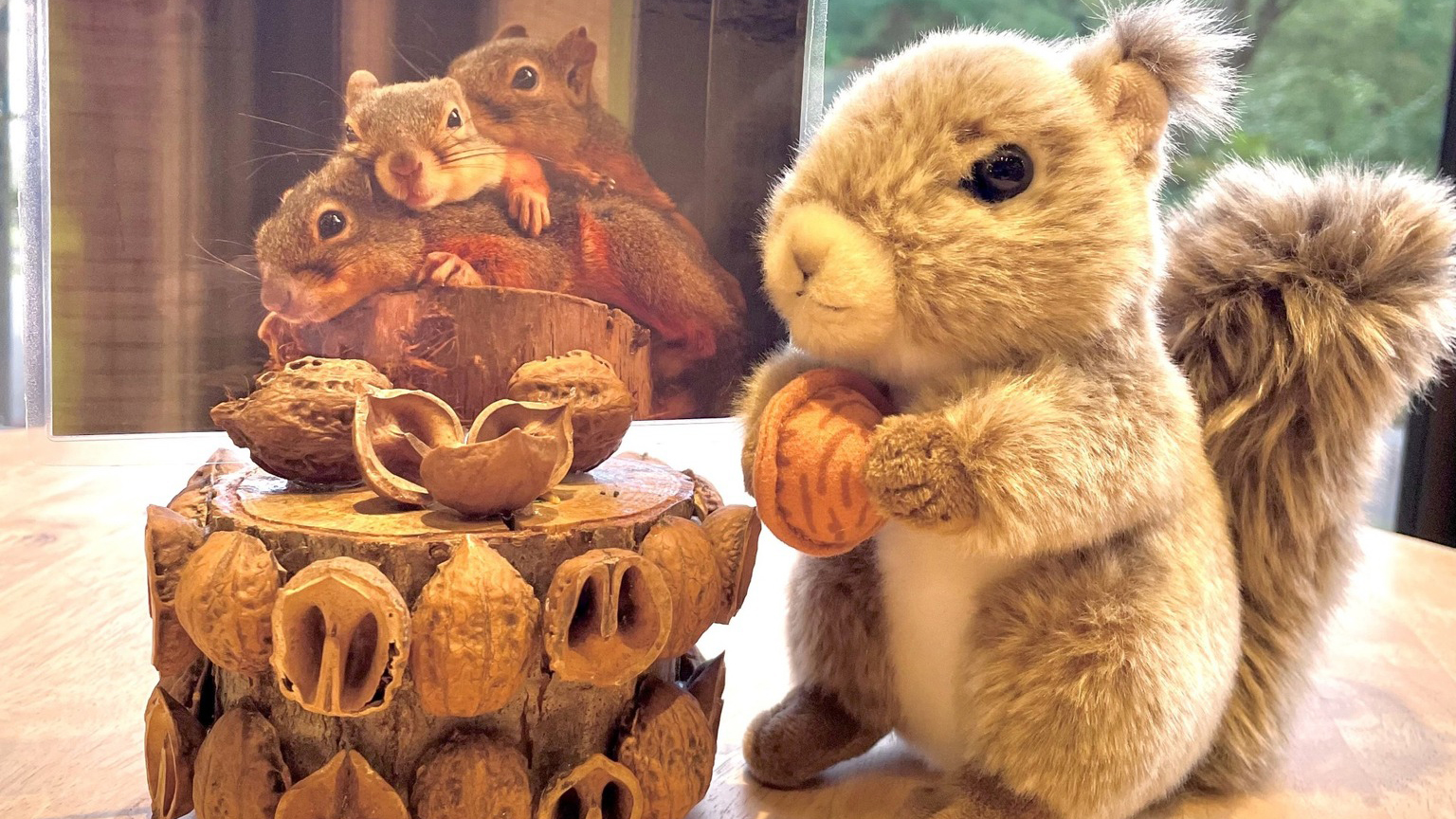 リスのクルミのカードスタンド研究室